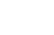 Microsoft Solutions Partner_white